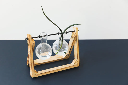 Wie sich ein Parfum entfaltet: Ein Blick auf Duftnoten